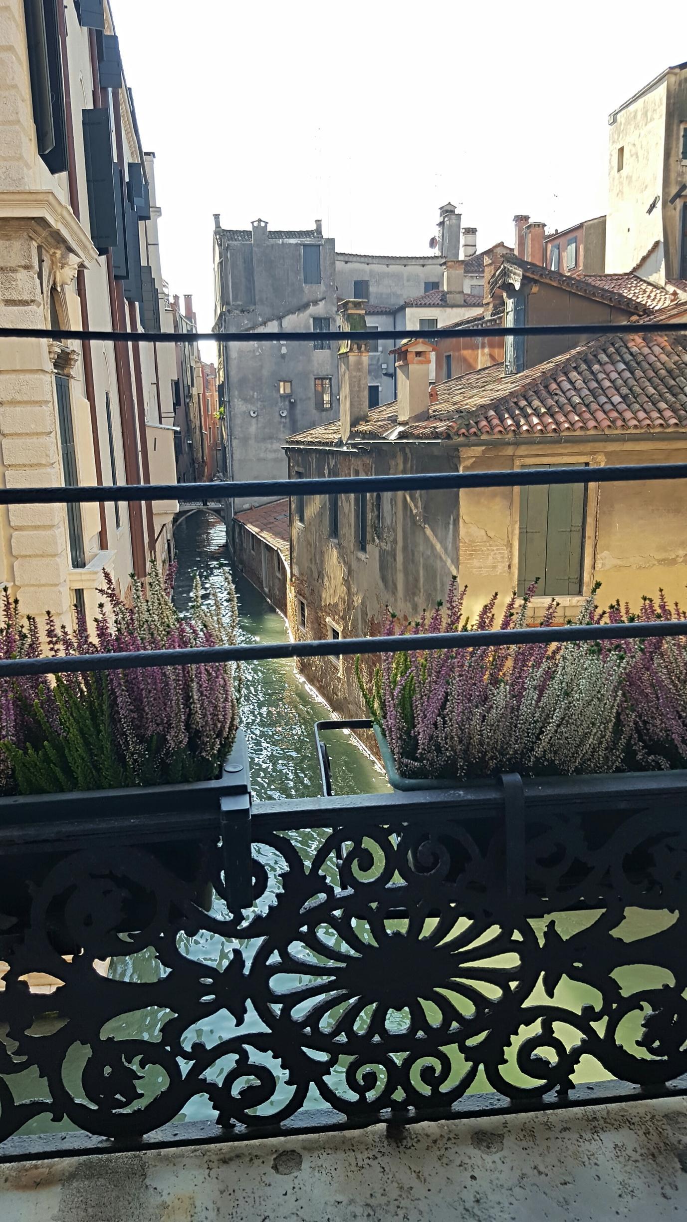 Casa Pisani Canal Venedig Exteriör bild